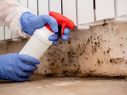 Best Crawl Space Mold Remediation  in Helena, OK